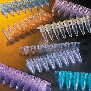 0.2 ml 8-Tube PCR Strips without Caps, high profile, yellow